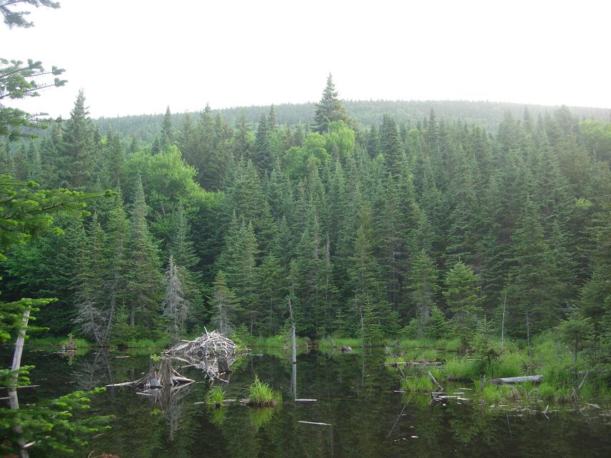 Canada, Etats-Unis 2004/2005
