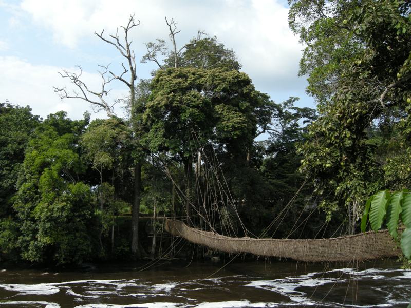 decembre 2009