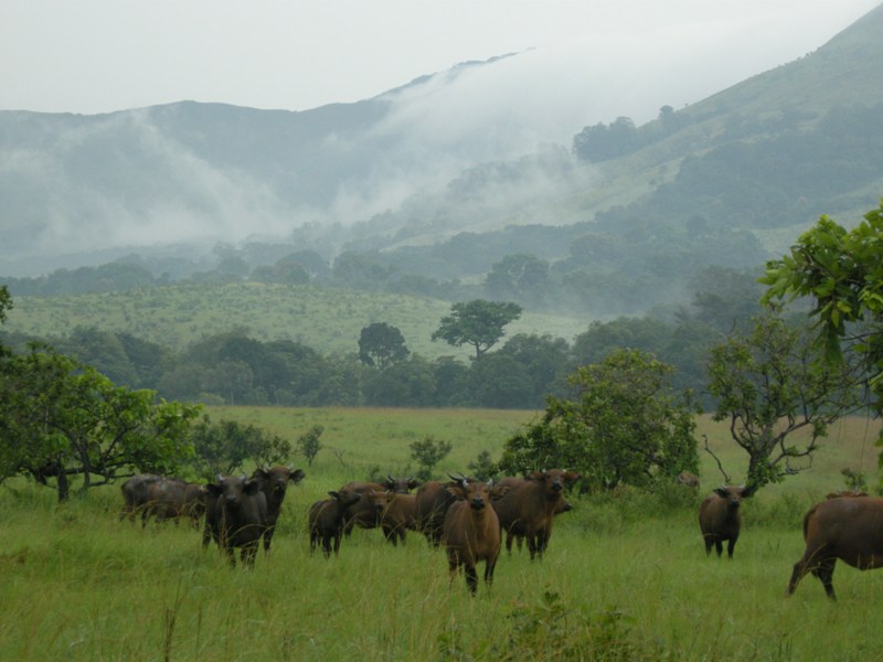 Gabon 2007/2009