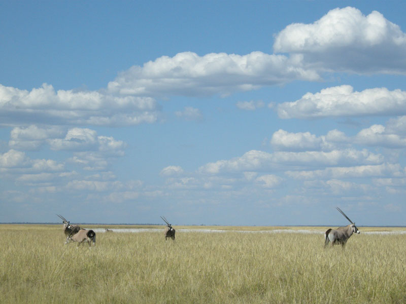 mai 2008