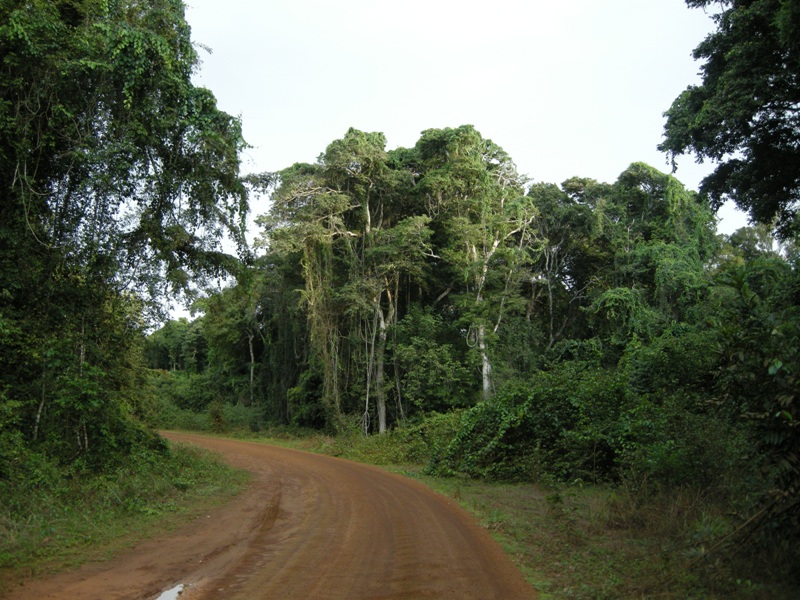 novembre 2009