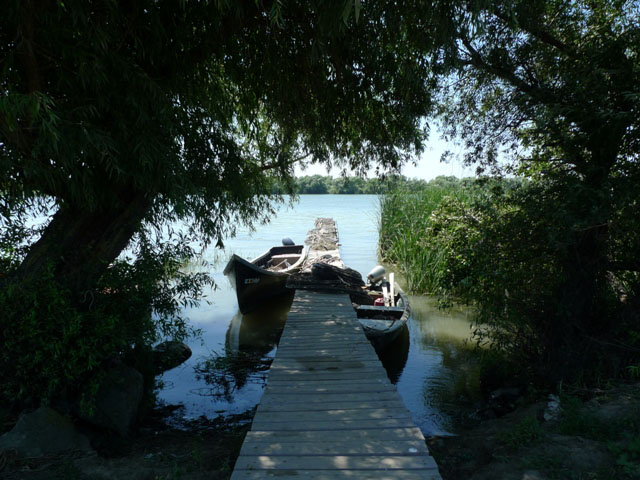 Voyages, 2005 et suivantes