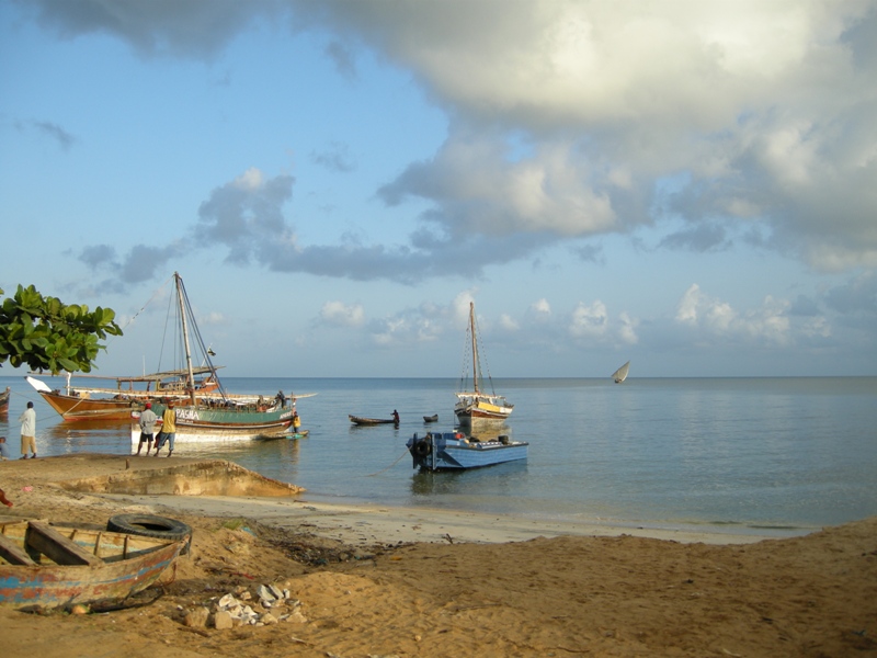 juin-juillet 2008